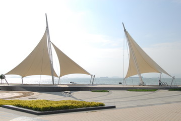 如何去除虾头上的黑色物