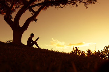 白茶有哪些品种 前十名