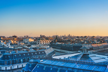 白茶有哪些品种 前十名