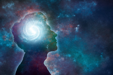 白茶有哪些品种 前十名