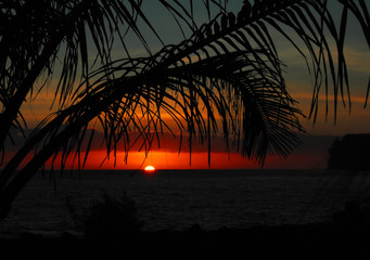 半水钓鱼怎么调漂解-