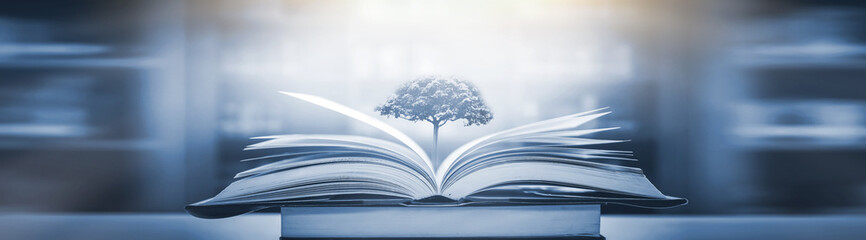 山东报到证的改派流程