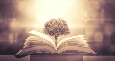 1个盼盼法式小面包热量是多少？