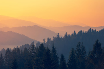 创业回本利器 试驾华晨鑫源金海狮