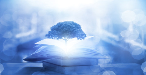 1个盼盼法式小面包热量是多少？