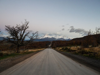 白茶有哪些品种 前十名