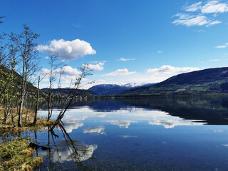 快递业进去百亿时代给物流带来的机遇和挑战