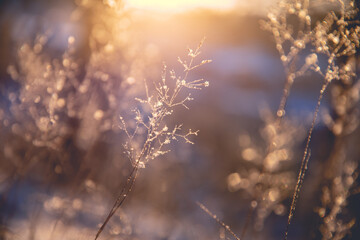 经典古代耽美小说推荐