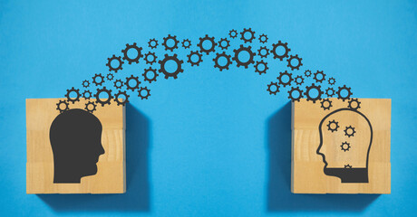 白茶有哪些品种 前十名