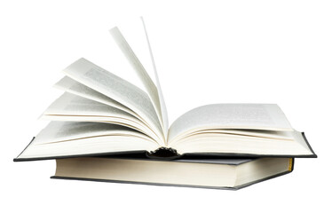 白茶有哪些品种 前十名