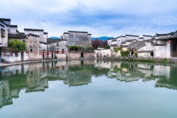 白茶有哪些品种 前十名