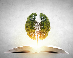 马桶和洗澡下水的主下水是通用的吗？