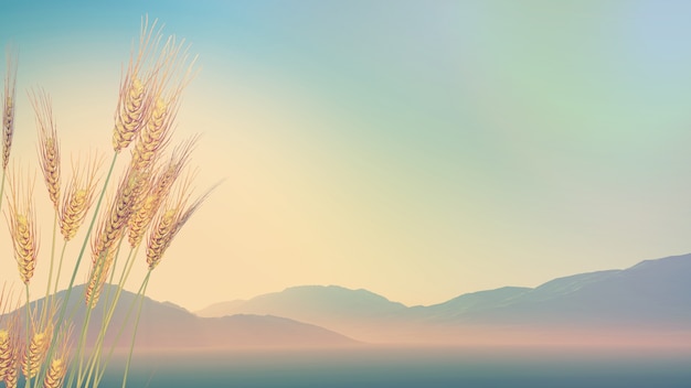 半水钓鱼怎么调漂解-