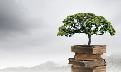 欧洲七国游注意些什么