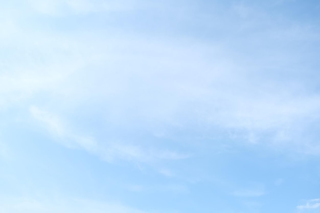 白茶有哪些品种 前十名