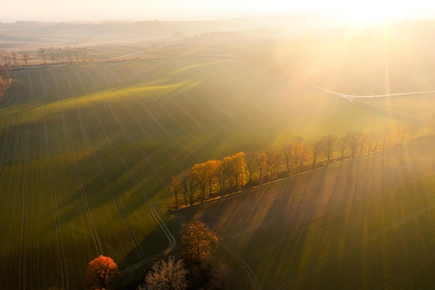 如何去除虾头上的黑色物