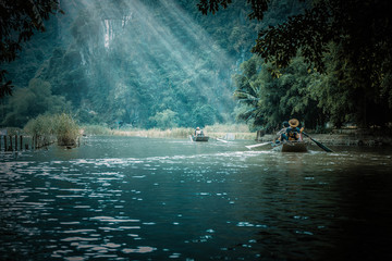 白茶有哪些品种 前十名