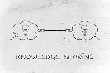 如何去除虾头上的黑色物